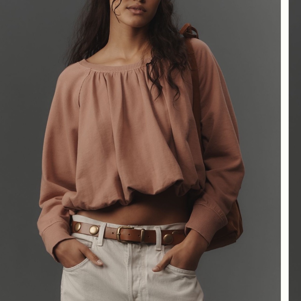 Anthropologie Rose Crop Top sweater